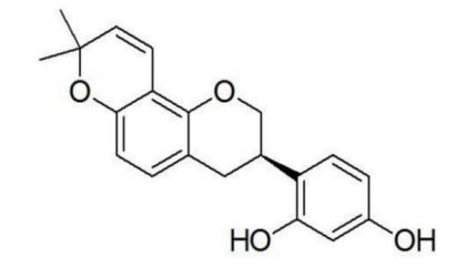 化妆品,甘草,酪氨酸,功效,提取物