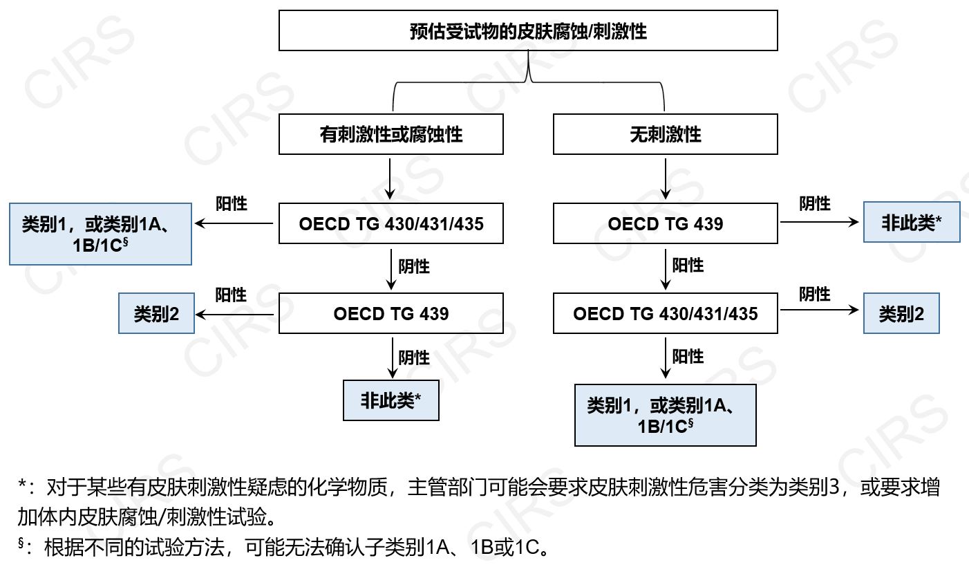 新化学物质,试验,体外试验,皮肤,管理登记