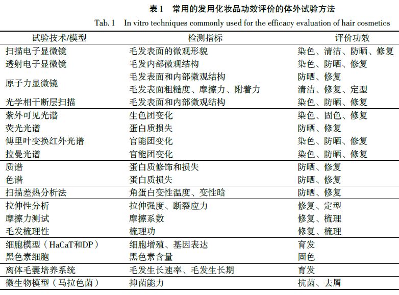 头发,功效,化妆品,脱发,护发