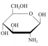 China,Health,Food,Dietary,Supplement,Glucosamine,Bone